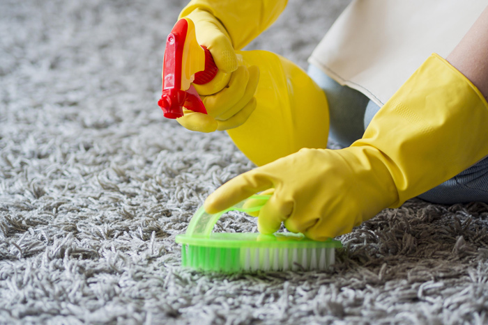 carpet and area rug cleaning in Chicago